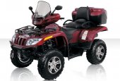 2010 Arctic Cat TRV 1000 H2 EFI Cruiser photo